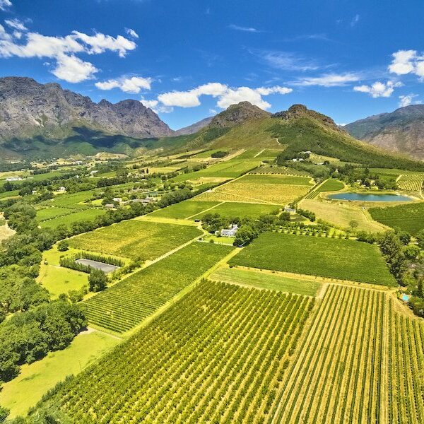 Wineries & Winelands in and around Somerset West 